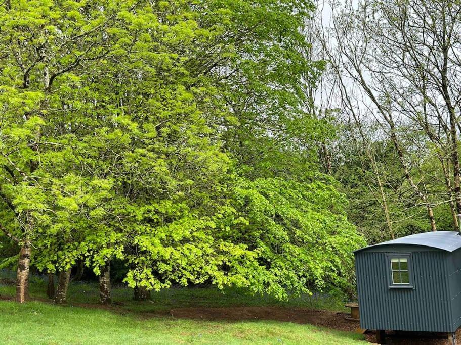 Cornwall Woodland Shepherd'S Hut Deirdres Hut Bodmin Eksteriør bilde