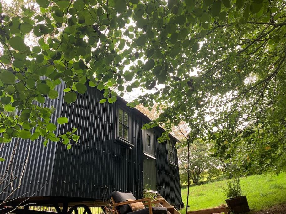 Cornwall Woodland Shepherd'S Hut Deirdres Hut Bodmin Eksteriør bilde
