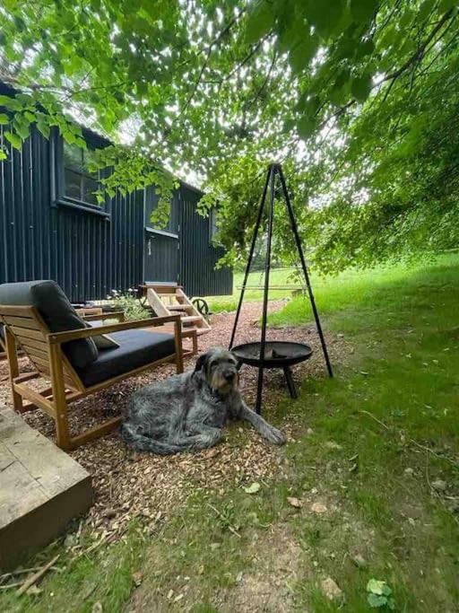 Cornwall Woodland Shepherd'S Hut Deirdres Hut Bodmin Eksteriør bilde