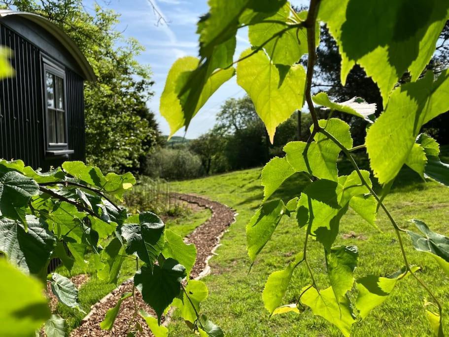 Cornwall Woodland Shepherd'S Hut Deirdres Hut Bodmin Eksteriør bilde