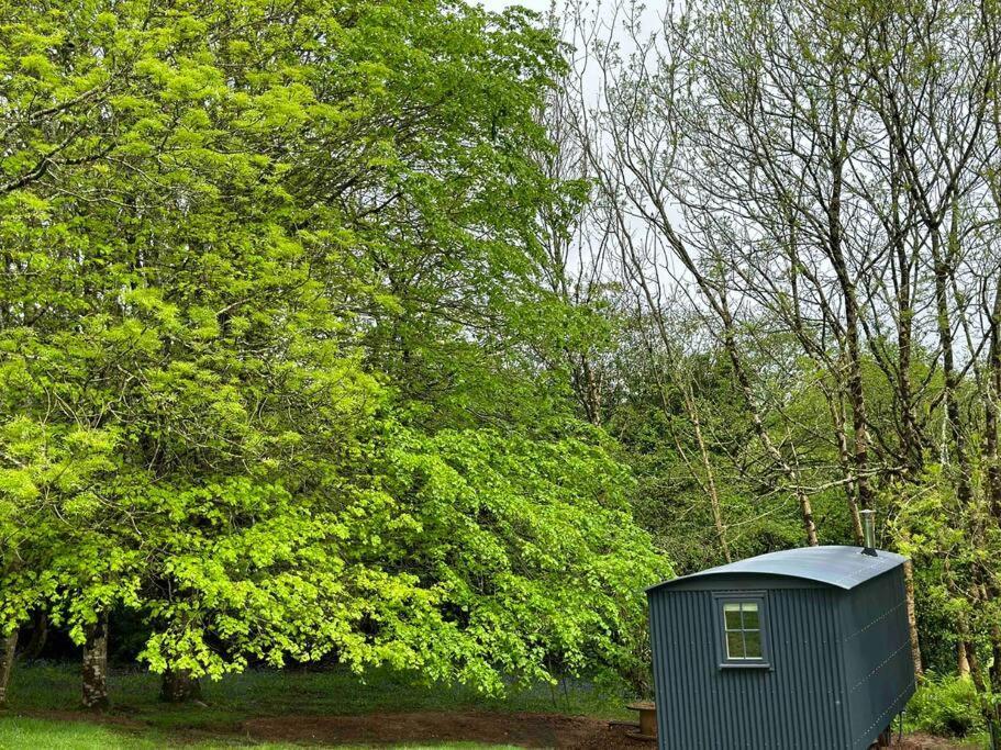 Cornwall Woodland Shepherd'S Hut Deirdres Hut Bodmin Eksteriør bilde