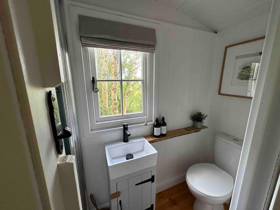 Cornwall Woodland Shepherd'S Hut Deirdres Hut Bodmin Eksteriør bilde