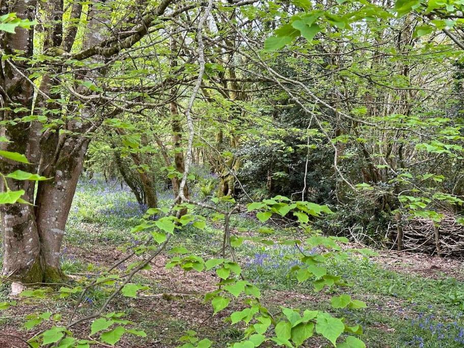 Cornwall Woodland Shepherd'S Hut Deirdres Hut Bodmin Eksteriør bilde